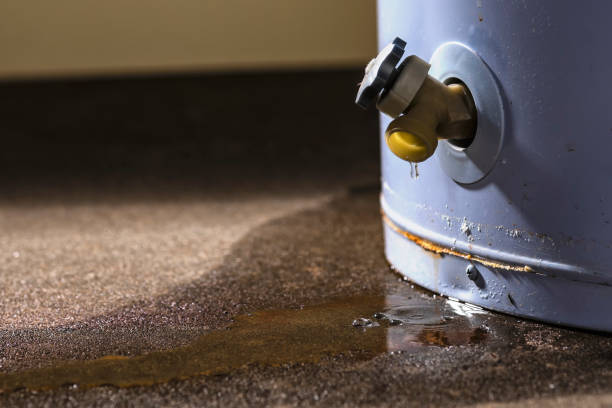 Carpet water damage restoration in Mountain View, MO
