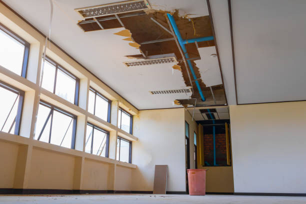 Best Commercial water damage restoration  in Untain View, MO