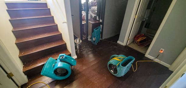 Carpet water damage restoration in Mountain View, MO