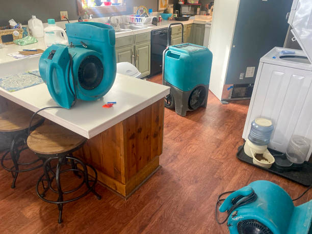 Best Water damage cleanup near me  in Untain View, MO