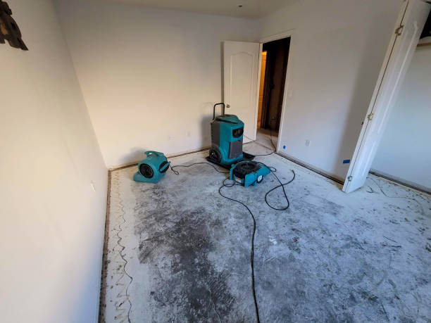 Best 24/7 water damage repair  in Untain View, MO