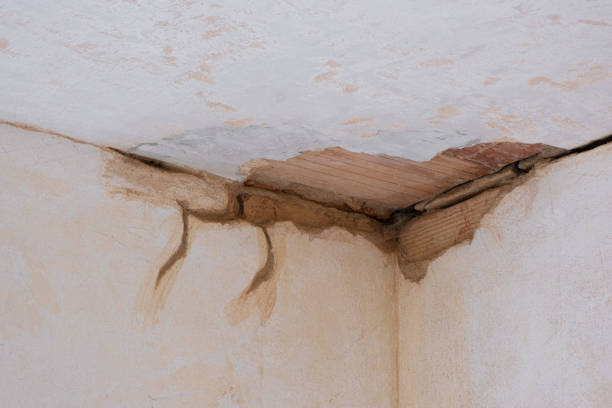 Best Commercial water damage restoration  in Untain View, MO