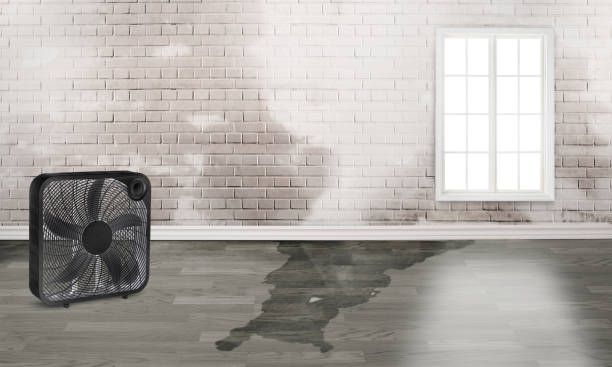 Sewage cleanup and water damage restoration in Mountain View, MO