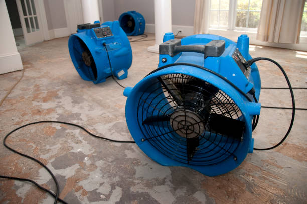 Best Emergency water damage restoration  in Untain View, MO