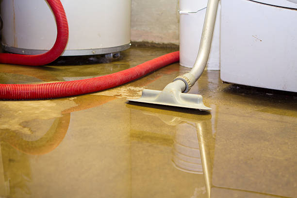 Water damage restoration insurance claims in Mountain View, MO
