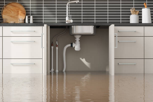 Trusted Mountain View, MO Water damage restoration Experts