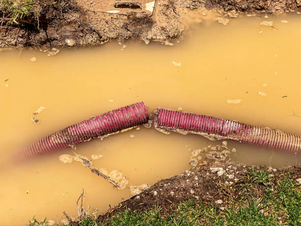 Trusted Mountain View, MO Water damage restoration Experts